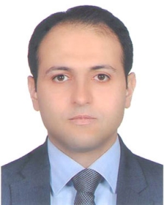 hamid hosseinzadeh