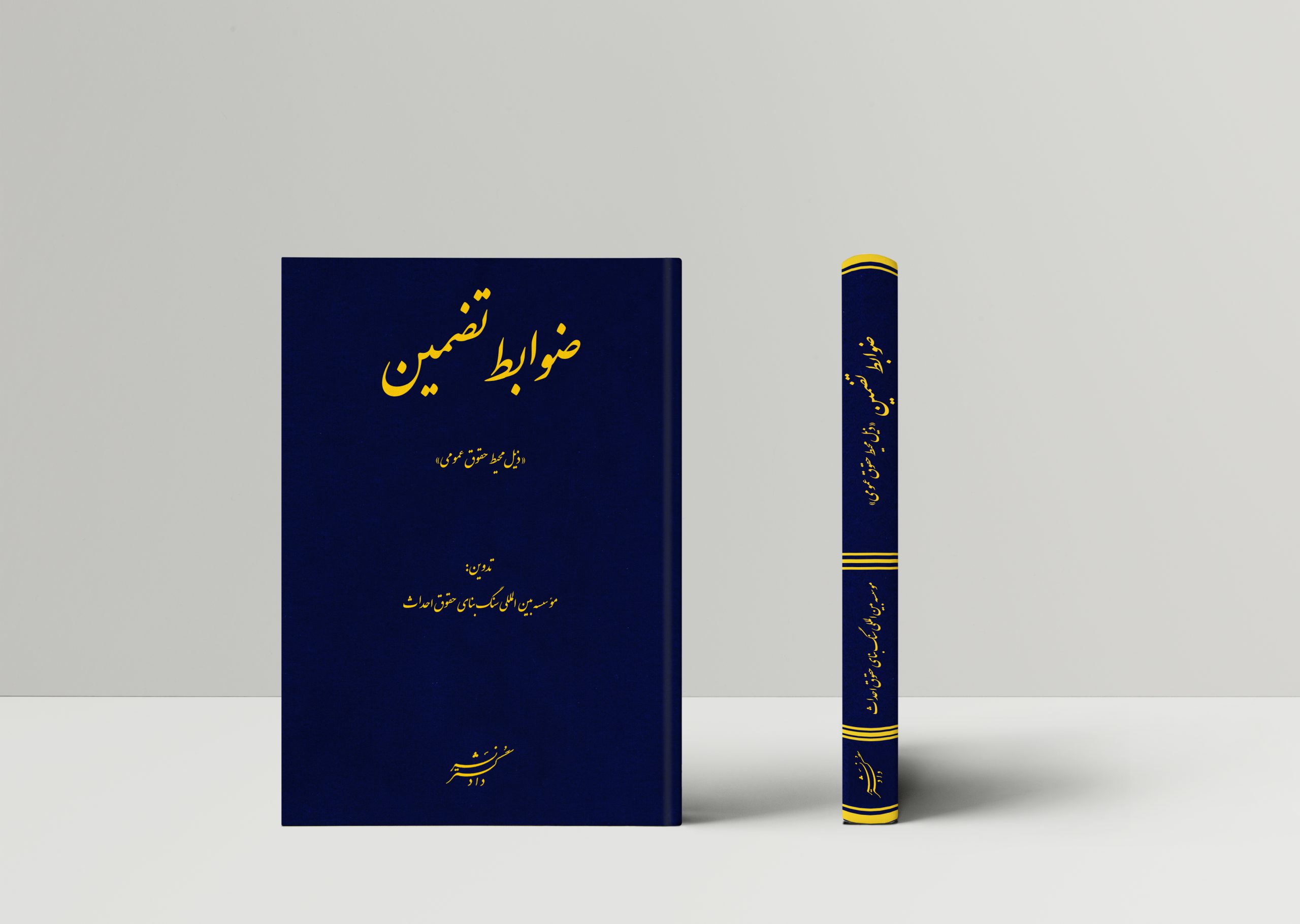 ضوابط تضمین «ذیل محیط حقوق عمومی»